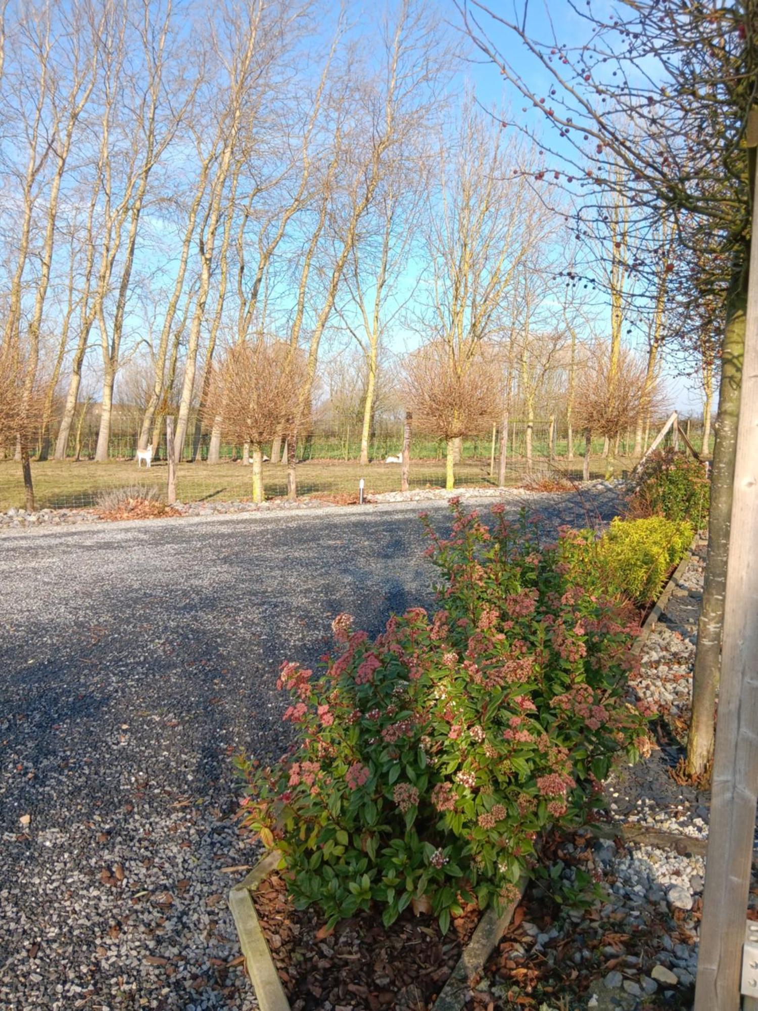 La Chambre Des Daines Binche Exteriör bild